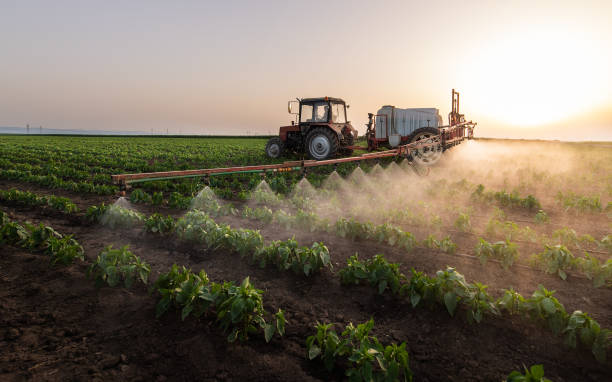 Best Mosquito Control Services  in Sea Ranch, CA