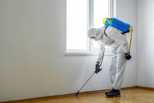 Best Emergency Pest Control  in Sea Ranch, CA