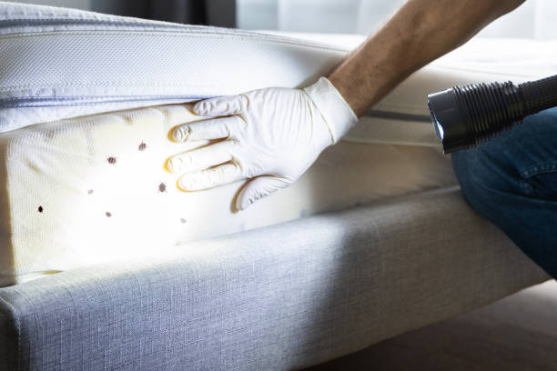 Best Residential Pest Control  in Sea Ranch, CA