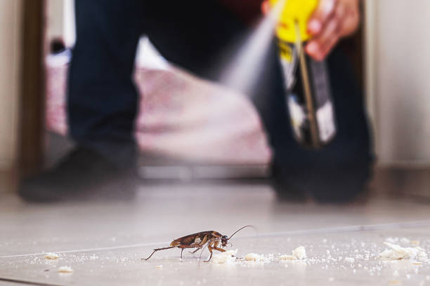Best Exterminator Services  in Sea Ranch, CA